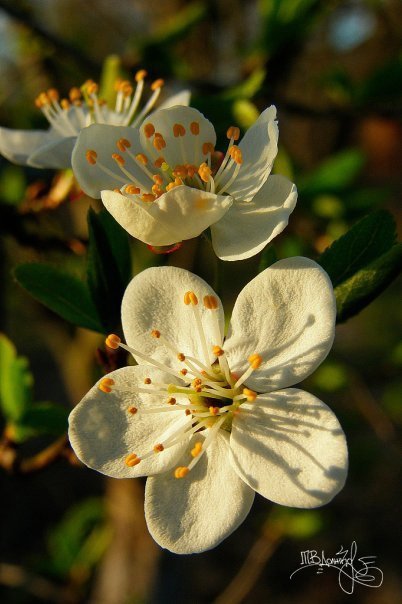 Фотовиставка Тетяни Должко